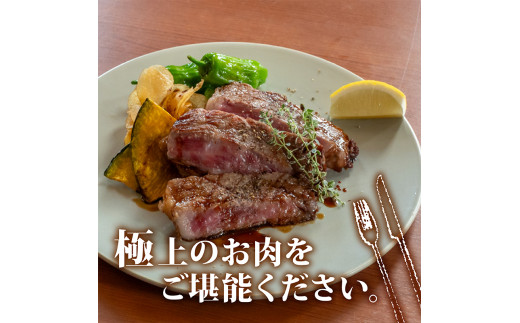 サーロインステーキ 660g 【 220g × 3枚 】 土佐 黒毛 和牛