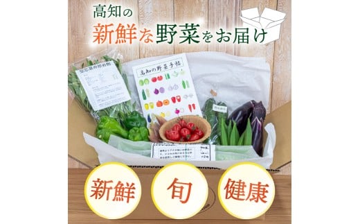 南国高知よりまごころ野菜セット 野菜でお家ごはん 【6～8品目】