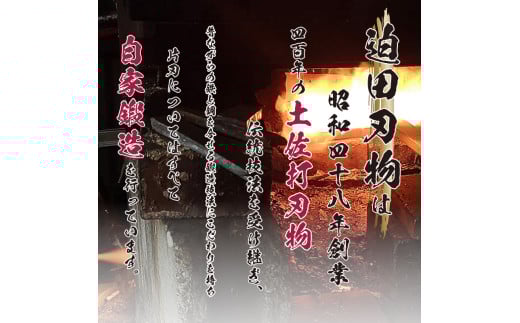 【 土佐打刃物 】 柳刃包丁 21cm 砥石 4種 セット 迫田刃物 鍛冶職人 日本三大刃物 青紙2号 包丁 キッチン 用品  高知県 須崎市