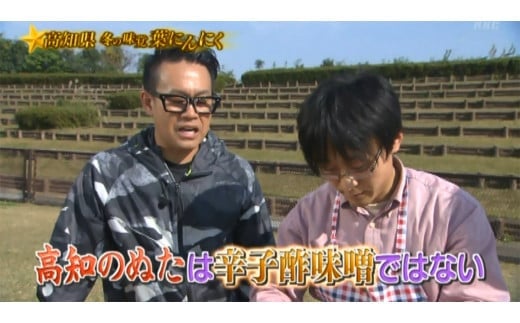 【高知家のうまいもの大賞グランプリ受賞】 藁焼き ブリ ぬた セット 食べ比べ セット ソース ドレッシング ぶり わらやき 肉 牛 豚 鶏 ハンバーガー ご当地 万能 調味料 ニンニク 無農薬 有機栽培 鰤 鮮魚 カツオ 鰹 スパゲッティ パスタ 麺 イタリアン ジュノベーゼ サラダ ピザ 食品 詰め合わせ 小分け 冷凍 便利 自宅 伝統 ギフト プレゼント 高知県産 須崎市 EA106_x