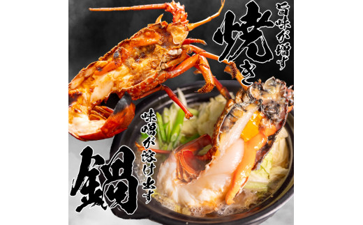 【早期予約】 【12月30日着】 特大 伊勢海老 5匹 3000g ～ 以上 冷凍 ( 特大サイズ 急速冷凍 えび エビ 高級 鮮魚 海鮮 魚介 刺身 焼き物 汁物 ギフト 贈答 贈り物 祝い 歳暮 中元 年末 年始 早期 予約 ) IKY070 5匹3kg以上(年末30日配送)