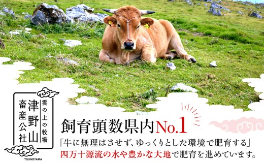 幻の和牛 土佐あかうし ハンバーグ 2kg 200g x 10個 冷凍 四万十ポーク 合い挽き 牛肉 豚肉 あか牛 玉ねぎ 玉葱 個包装 人気ハンバーグ ランキング 神戸牛 松阪牛 近江牛 黒毛和牛 より数が少ない 国産和牛 惣菜 おかず 一万円 10000円 1万円 いちまんえん 冷凍 高知県 須崎市 お惣菜 はんばーぐ 赤牛ハンバーグ あか牛ハンバーグ hannba-gu SNM033