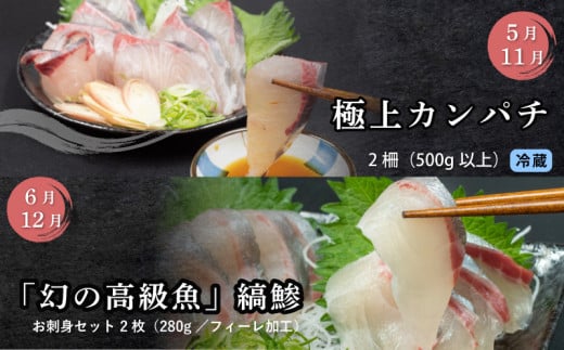 刺身 定期便 6ヶ月 小島水産 がお届けする！ 美味しい お刺身 大容量 コース ( 鮮魚 下処理済 )  産地直送 半年 新鮮 鮮魚 ( 6回 お楽しみ 定期便 お刺身 かつお タタキ カツオ 鰹 鯛 たい 真鯛 タイ 鰤 ぶり ブリ 勘八 カンパチ かんぱち シマアジ 縞鯵 しまあじ 高級魚 魚貝 ) KS28000-5x 大容量