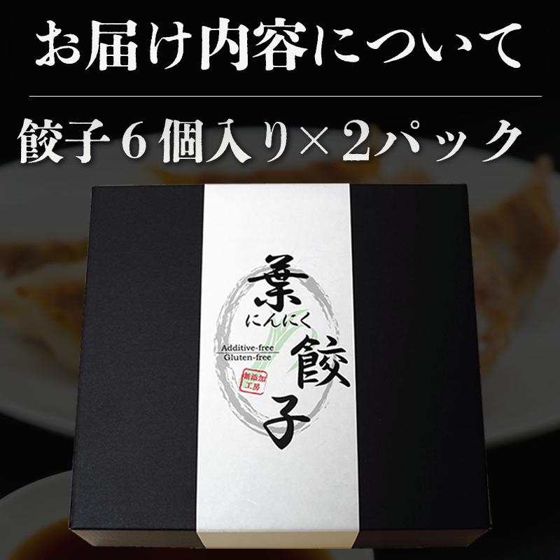 葉 にんにく と 四万十豚 で作った 最高級餃子 （ 6個入り × 2 パック ） 餃子 ギョーザ 焼き餃子 やきぎょうざ ぎょーざ こだわり 大容量 冷凍 冷凍餃子 簡単 調理 簡単調理 惣菜 冷凍食品 おかず 弁当 中華 中華料理 料理 高知県 須崎市 EA0271_3x 12個(6個x2パック)