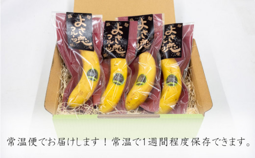 高級 バナナ 500g 以上 国産 有機栽培 高知初 糖度 25度以上 果物 フルーツ 高知県 須崎市