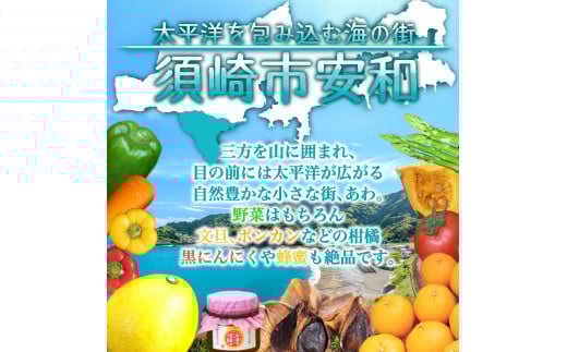 定期便 3回 3ヶ月 訳あり 野菜 詰め合わせ セット 7~8品種 毎月お届け 高知県 須崎市 頒布会 旬の野菜 やさい ベジタブル キット 季節野菜 高知 須崎 国産 人気 半年間 毎月 お届け 季節 旬 新鮮 定番 やさい AWA5000_x
