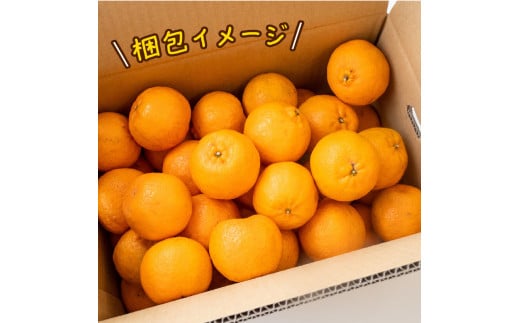 【早期予約 2026年2月上旬より順次発送】 【有機JAS認定】有機ぽんかん L・2Lサイズ混合 5kg 5kg