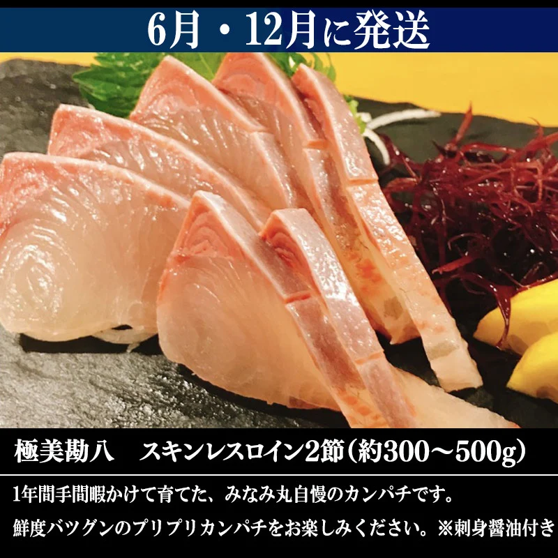 12ヶ月 連続 定期便 こだわり お魚 コース | かつお かつおのたたき かつおのタタキ 鰹のたたき サバ さば 鯛 たい タイ 勘八 カンパチ 鰤 ブリ ぶり 漬け丼 刺身 頒布会 12回 1年間 みなみ丸 海鮮 魚 人気 定期便 数量限定 須崎市 高知県