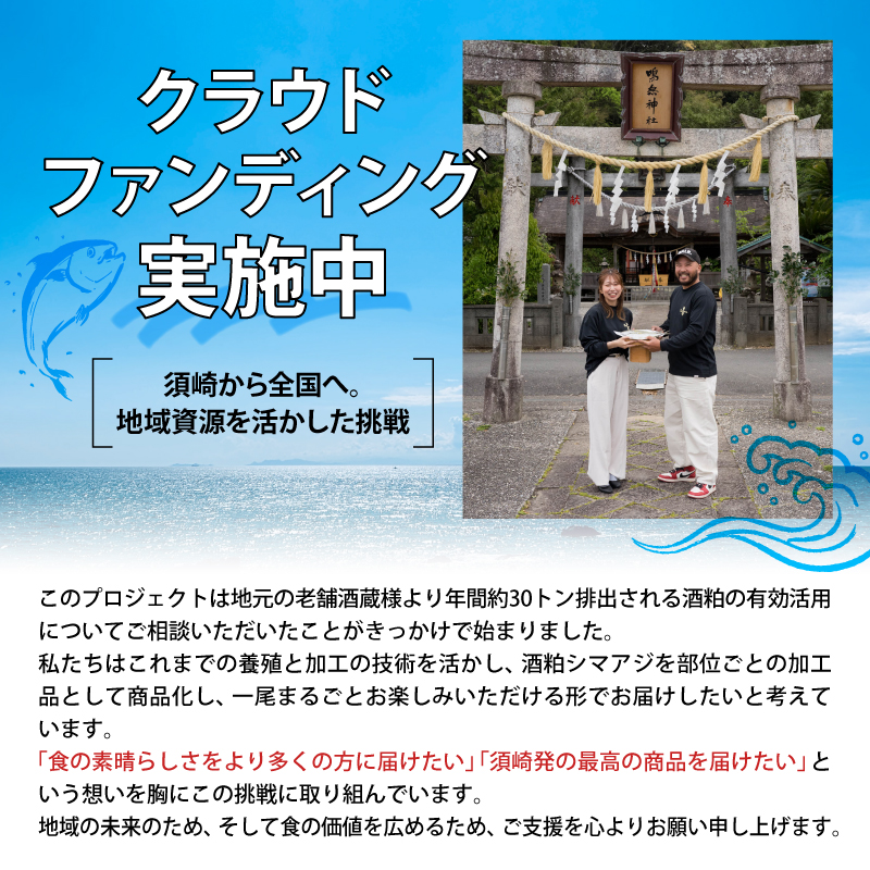 美粕祇万アジ 500g フィーレ 4パック フィーレ カマ アラ付 高級魚 刺身 刺身用 縞鯵 シマアジ 鯵 海鮮 鮮魚 新鮮 魚介 冷凍 魚 さかな 小分け 高知県 須崎市 SCM002 4人前 計500g 腹･背フィーレ 4パック･カマ･アラ出汁パック