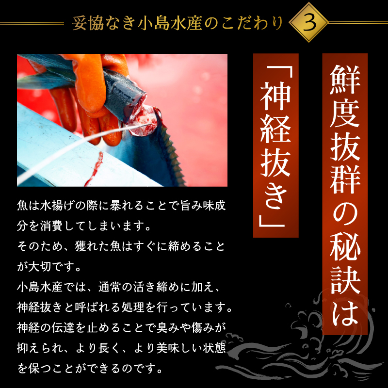 刺身 定期便 3ヶ月 小容量 コース 小島水産 産地直送 かつお ブリ 鯛 3回 新鮮 乙女鯛 乙女ブリ 藁焼き かつおタタキ タイ 鰤 ぶり 鰹タタキ 鰹 カツオ かつおのたたき お刺身 高知県 須崎市 KS31000