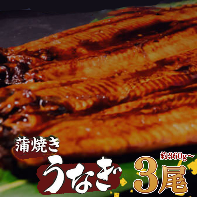 【肉厚】 うなぎ蒲焼き 360ｇ（120～140×3尾）/ 鰻 ウナギ かば焼き 冷凍