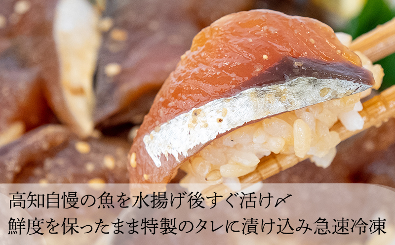 漬け丼セット 計 10 パック （ 5 種類 × 2 パック ）｜ 海鮮 醤油 漬け 10 セット 藁焼き 鰹 タタキ かつお カツオ サバ さば 鯖 真鯛 鯛 たい タイ カンパチ 勘八 ブリ 鰤 詰合せ セット 惣菜 海鮮丼 お刺身 小分け パック 国産 セット お茶漬け 時短 簡単 お手軽 人気 惣菜 海の幸 刺し身 漬け 丼 加工品 冷凍 みなみ丸 高知県 須崎市 MM015_x 5種類・各2パック