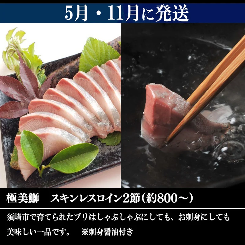 6ヶ月 連続 定期便 こだわり お魚 コース | かつお かつおのたたき かつおのタタキ 鰹のたたき サバ さば 鯛 たい タイ 勘八 カンパチ 鰤 ブリ ぶり 漬け丼 刺身 頒布会 6回 みなみ丸 定期便 数量限定 須崎市 高知県