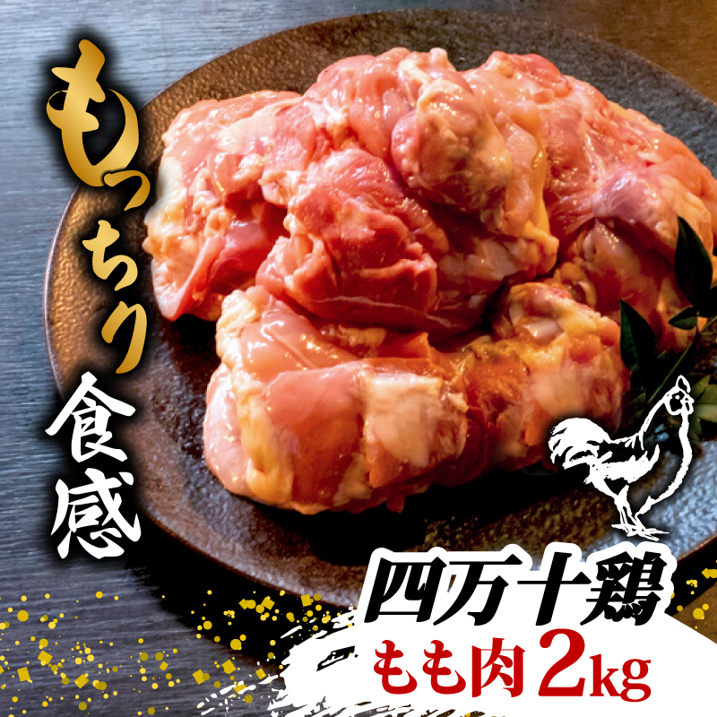もも肉 鶏 2kg ブランド 四万十鶏 須崎 高知 唐揚げ 煮物 鍋 【便利】 【ブランド鶏】
