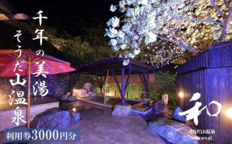 そうだ山温泉 温泉宿泊券 3,000円分 旅館旅館旅館旅館
