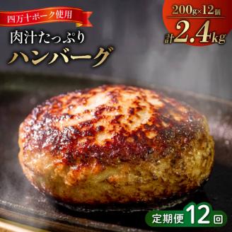 ハンバーグ 2.4kg 1年 12回 定期便 【四万十ポーク使用】