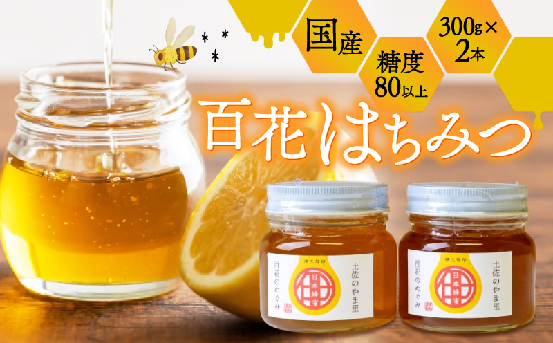 【限定10セット！】須崎市安和地区 2023年採蜜 日本ハチミツ２本セット！AWA001