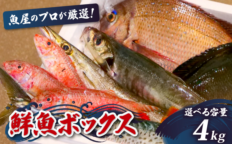【魚屋のプロが厳選！】 鮮魚 BOX 4kg