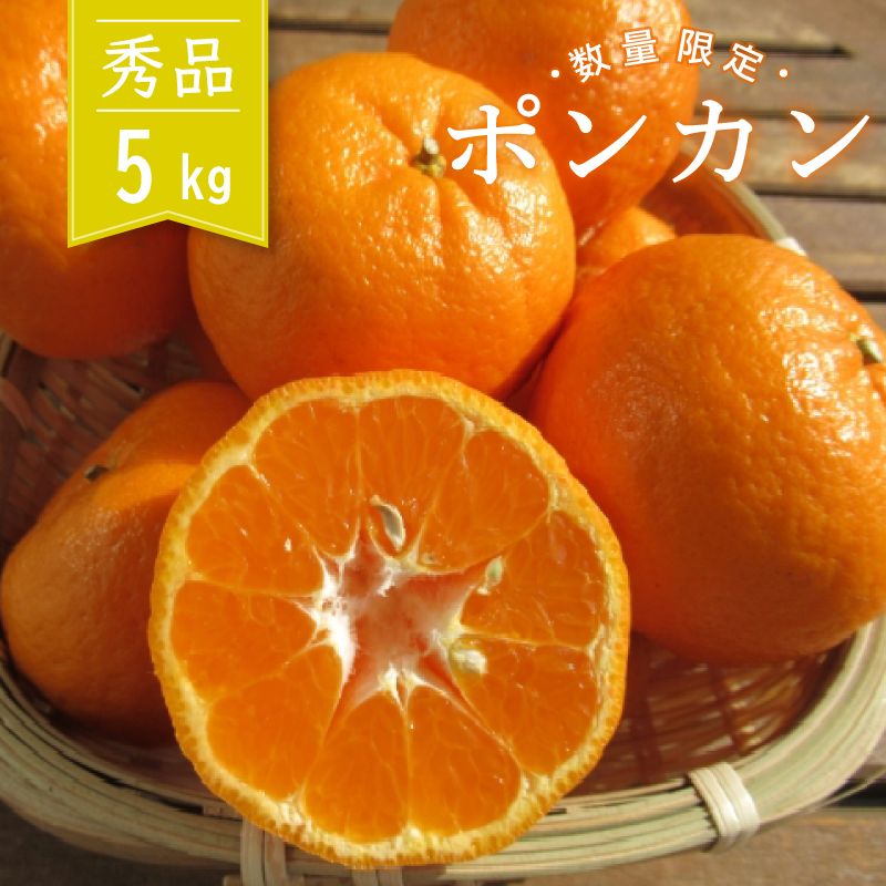 【2026年1月より順次発送】浦ノ内 ポンカン5kg 秀品 2025年度収穫分