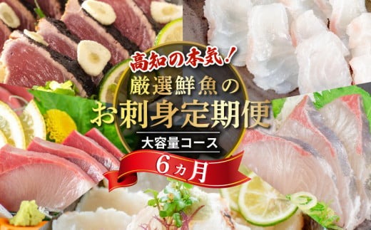 刺身 定期便 6ヶ月 小島水産 がお届けする！ 美味しい お刺身 大容量 コース ( 鮮魚 下処理済 ) 産地直送 半年 新鮮 鮮魚 ( 6回 お楽しみ 定期便 お刺身 かつお タタキ カツオ 鰹 鯛 たい 真鯛 タイ 鰤 ぶり ブリ 勘八 カンパチ かんぱち シマアジ 縞鯵 しまあじ 高級魚 魚貝 )  高知県 須崎市 KS28000-3x