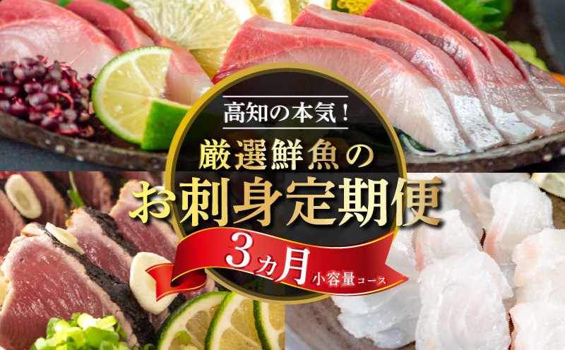刺身 定期便 3ヶ月 小容量 コース 小島水産 産地直送 かつお ブリ 鯛 3回 新鮮 乙女鯛 乙女ブリ 藁焼き かつおタタキ タイ 鰤 ぶり 鰹タタキ 鰹 カツオ かつおのたたき お刺身 高知県 須崎市 KS31000