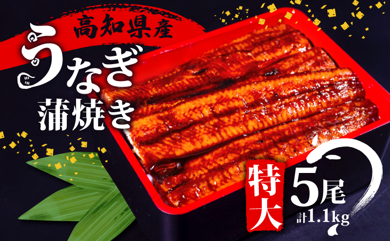 国産 うなぎ 蒲焼き 5尾 ( 1尾 約220g ) 尾頭付き 土用の丑の日 高知県産 蒲焼 特大 特上 鰻 ひつまぶし うな丼 うな重 お歳暮 ギフト 冷凍 養殖 ふるさと納税うなぎ 高知県 須崎市 秘伝タレ付き 真空パック 惣菜 人気 ランキング おすすめ ME0072