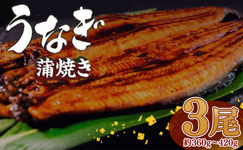 【肉厚】 うなぎ蒲焼き 360ｇ（120～140×3尾）/ 鰻 ウナギ かば焼き 冷凍