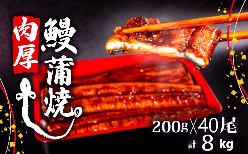 【肉厚】 うなぎ蒲焼き 8kg （200g×40尾）/ 鰻 ウナギ かば焼き 冷凍