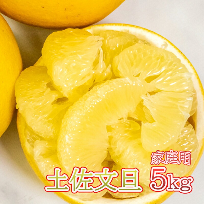 【 先行予約 】 土佐文旦 5kg 高知県産 柑橘 フルーツ 文旦 ぶんたん ブンタン 分担 果物 みかん 文旦 産地直送 高知県 須崎 須崎市 南国高知からの贈り物 ME023-x