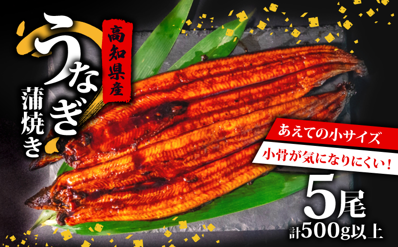 国産 うなぎ の 蒲焼き 5尾 ( 1尾 100g ~ 120g ) 尾頭付き 土用の丑の日 高知県産 蒲焼 特上 鰻 ひつまぶし うな丼 うな重 お歳暮 ギフト 冷凍 養殖 ふるさと納税うなぎ 高知県 須崎市 秘伝タレ付き 真空パック 惣菜 人気 ランキング おすすめ ME0272