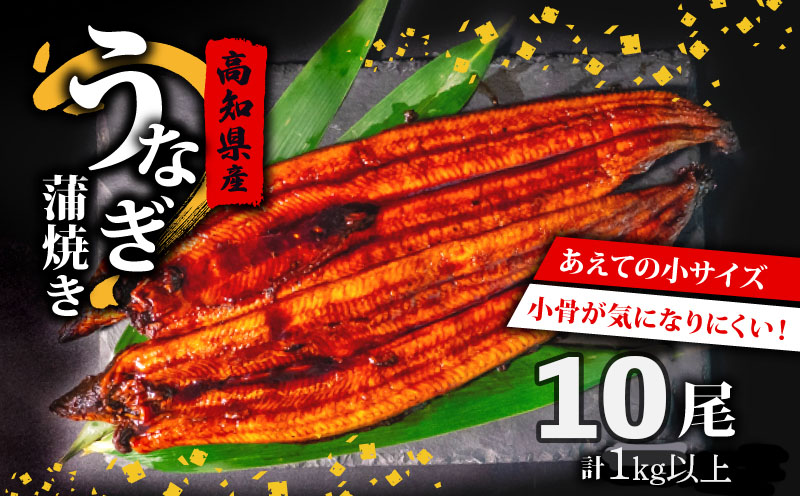 国産 うなぎ の 蒲焼き 10尾 ( 1尾 100g ~ 120g ) 尾頭付き 土用の丑の日 高知県産 蒲焼 特上 鰻 ひつまぶし うな丼 うな重 お歳暮 ギフト 冷凍 養殖 ふるさと納税うなぎ 高知県 須崎市 秘伝タレ付き 真空パック 惣菜 人気 ランキング おすすめ ME0282