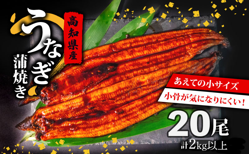 国産 うなぎ の 蒲焼き 20尾 ( 1尾 100g ~ 120g ) 尾頭付き 土用の丑の日 高知県産 蒲焼 特上 鰻 ひつまぶし うな丼 うな重 お歳暮 ギフト 冷凍 養殖 ふるさと納税うなぎ 高知県 須崎市 秘伝タレ付き 真空パック 惣菜 人気 ランキング おすすめ ME0292
