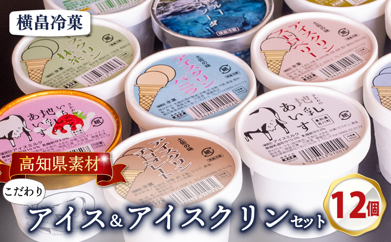 高知 名物 アイスクリン ふるさとの味アイス 12個 セット 【 ゆず 文旦 甘酒 ミルク いちごミルク 生姜 バニラ 抹茶 いちご チョコ ソーダ 人気 カップ スイーツ バラエティ おやつ 詰め合わせ デザート 詰合せ 】 【道の駅須崎】