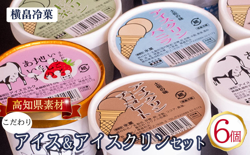 高知 名物 アイスクリン ふるさとの味アイス 6個 セット 【 ゆず 文旦 甘酒 ミルク いちごミルク 生姜 バニラ 抹茶 いちご チョコ ソーダ 人気 カップ スイーツ バラエティ おやつ 詰め合わせ デザート 詰合せ 】 【道の駅須崎】