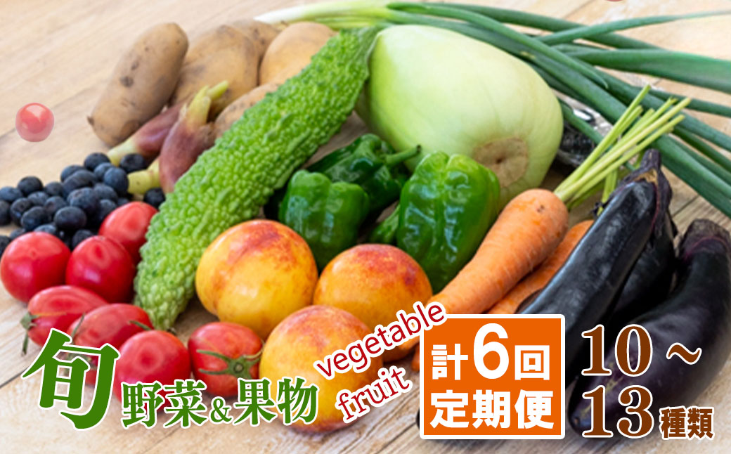定期便 旬の野菜と果物 セット 年6回 【道の駅須崎】