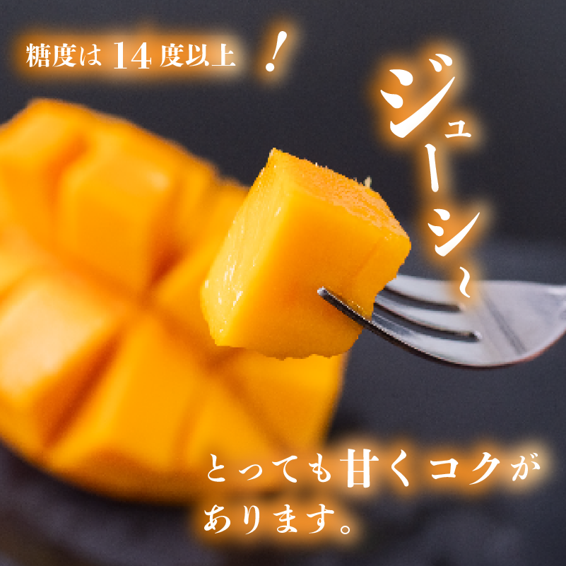 【早期予約】《2026年5月中旬から発送》マンゴー 秀品 2~4玉 900g 果物 完熟 フルーツ 完熟マンゴー 期間限定 ギフト 贈答用 ふるさと納税マンゴー 甘味 デザート 甘い 産地直送 高知県 須崎市