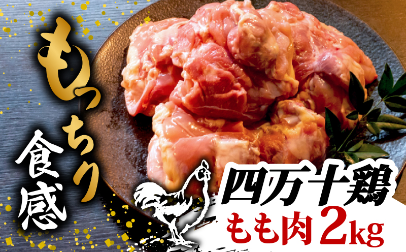 もも肉 鶏 2kg ブランド 四万十鶏 須崎 高知 唐揚げ 煮物 鍋 【便利】 【ブランド鶏】