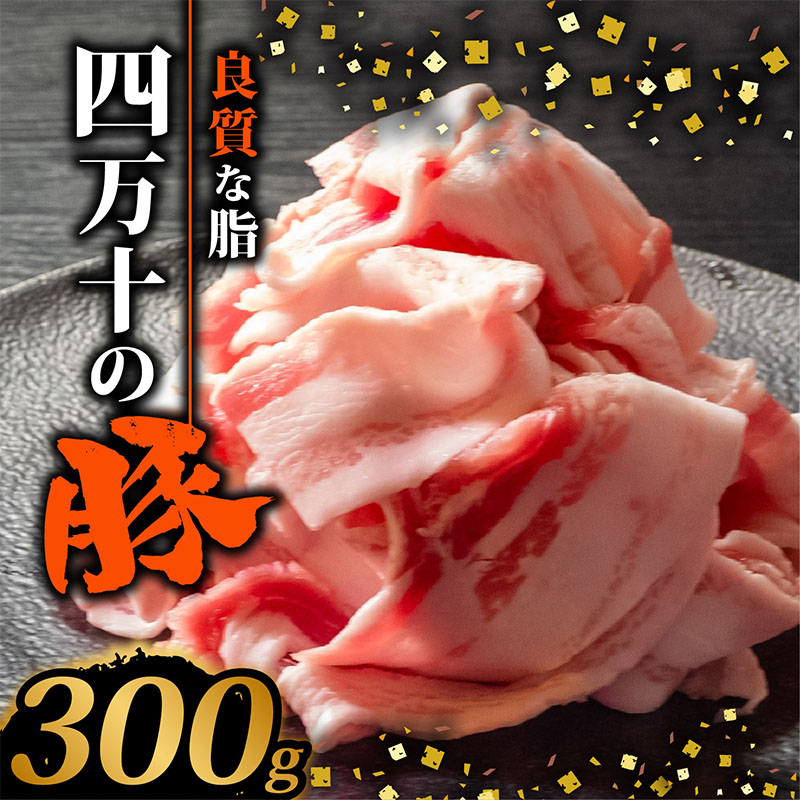四万十ポークスライス300g
