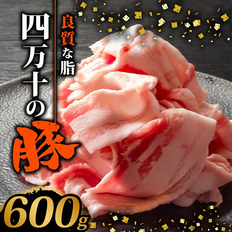 四万十ポークスライス600g