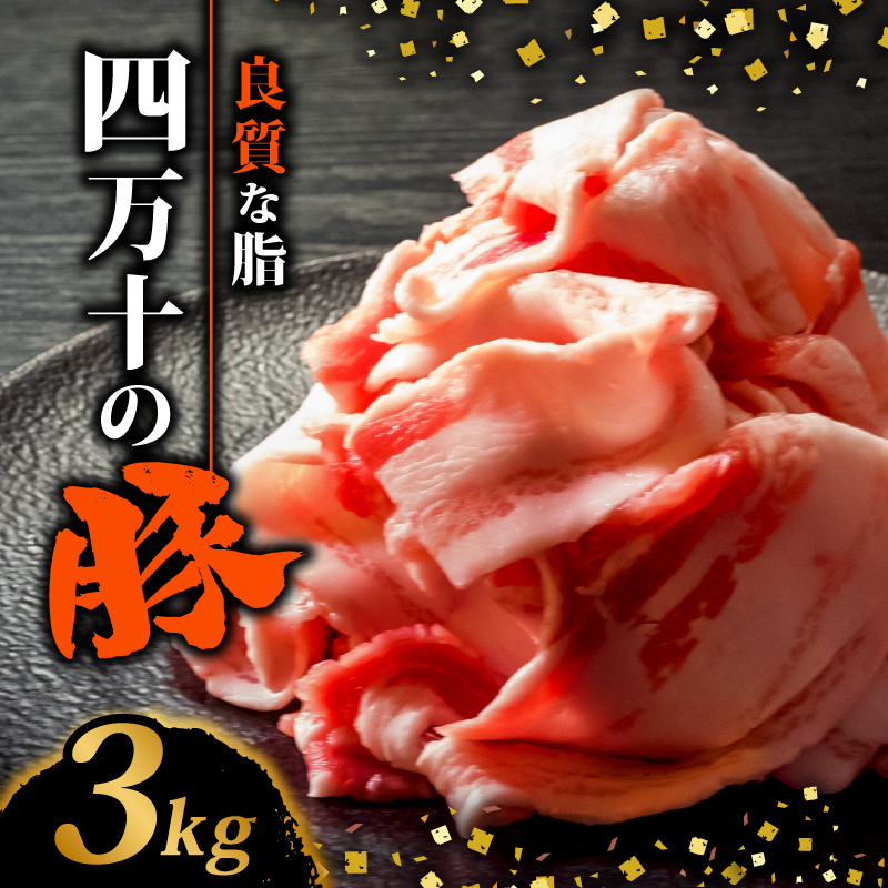 四万十ポークスライス3kg