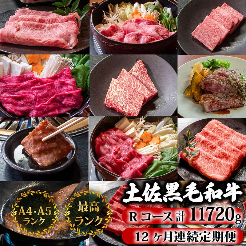 【12回定期】土佐黒毛和牛 食べ比べ 11720g 【計11kg以上】