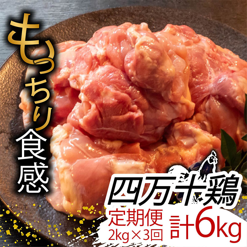 【定期3回】銘柄鶏 四万十鶏 もも肉 計6kg【2kg×3ヶ月連続お届け】 Sコース