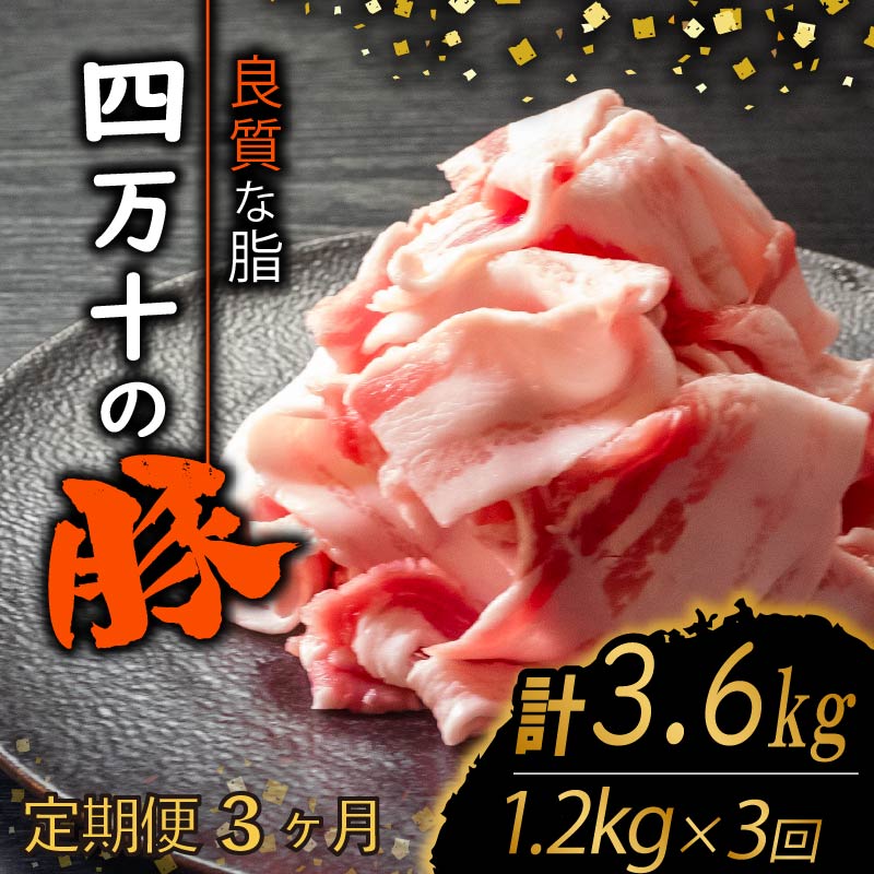 【定期3回】四万十ポークスライス 計3.6kg【1.2kg×3ヶ月連続お届け】 2Eコース