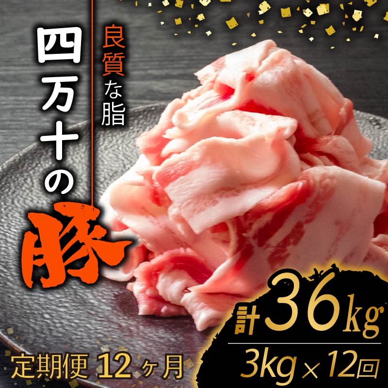 【定期12回】四万十ポークスライス 計36kg【3kg×12ヶ月連続お届け】 2Pコース