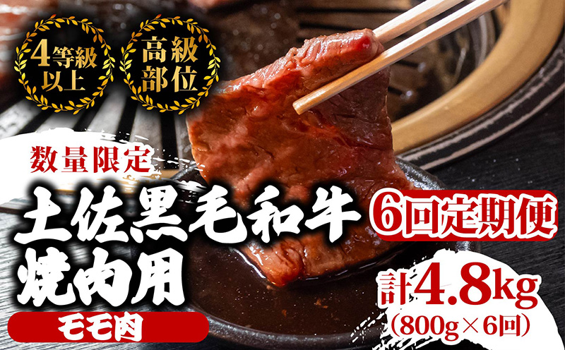 【定期6回】土佐黒毛和牛モモ肉焼肉用 計4.8kg【800g×6ヶ月連続お届け】