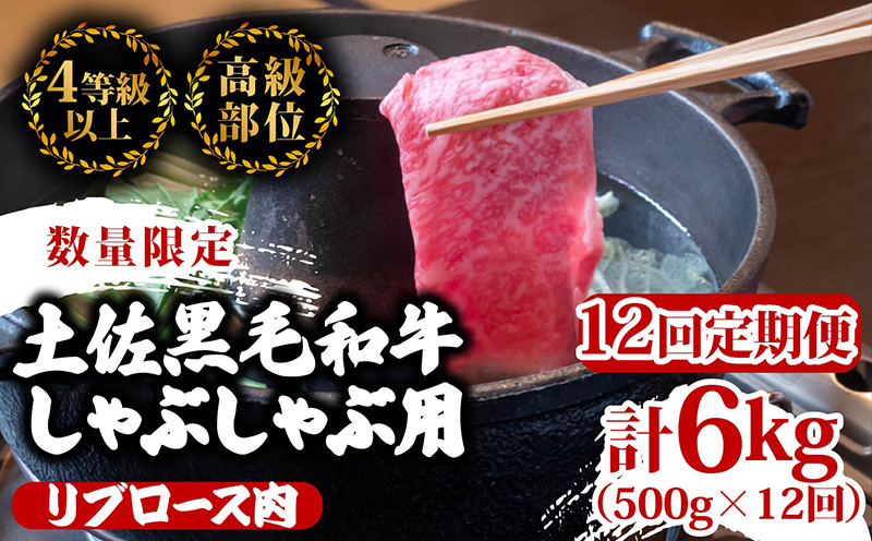 【定期12回】土佐 黒毛 和牛 しゃぶしゃぶ用 計6kg【500g×12ヶ月連続お届け】3Zコース