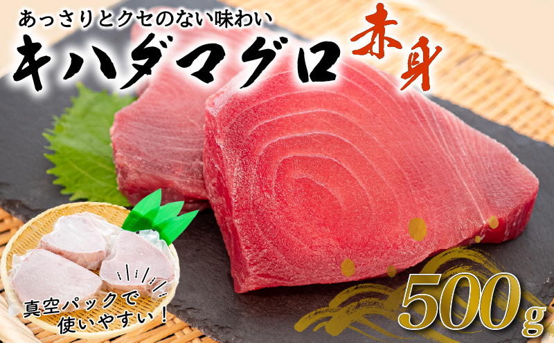 【訳あり】 キハダマグロの赤身 500g まぐろ赤身 鮪の刺身