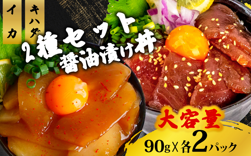 2種の漬け丼セット 90g×各2パック キハダマグロ イカ 【計4パック】