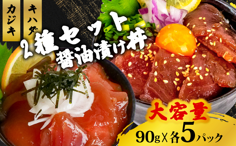 2種の漬け丼セット 90g×各5パック キハダマグロ カジキマグロ 【計10パック】