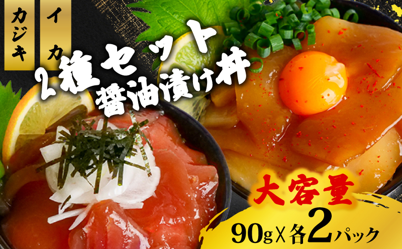 2種の漬け丼セット 90g×各2パック カジキマグロ イカ 【計4パック】